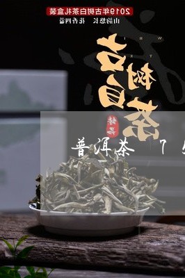 普洱茶 7576/2023031761604